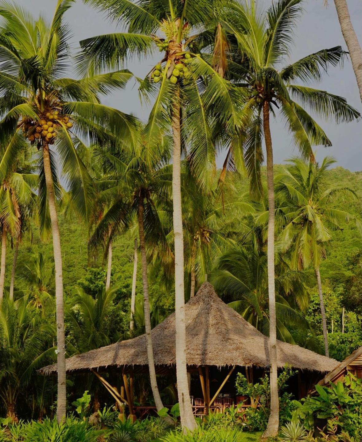 Eco Sanctuaries Nature Lodge Nacpan Beach, El Nido Eksteriør bilde